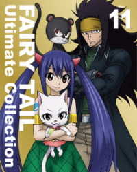 ＦＡＩＲＹ　ＴＡＩＬ　－Ｕｌｔｉｍａｔｅ　ｃｏｌｌｅｃｔｉｏｎ－　Ｖｏｌ．１１ Ｂｌｕ－ｒａｙ　Ｄｉｓｃ