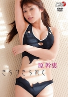 原幹恵　きらりきられて