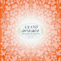 南野陽子／ＮＡＮＮＯ　ＤＶＤ　ＢＯＸ