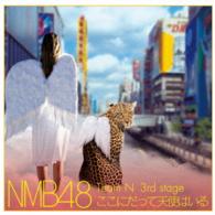 ＮＭＢ４８　Ｔｅａｍ　Ｎ／ここにだって天使はいる