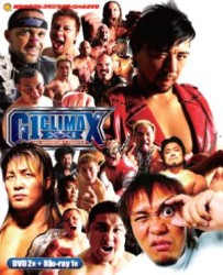 Ｇ１　ＣＬＩＭＡＸ　２０１１