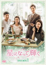 星になって輝く　ＤＶＤ－ＢＯＸ１