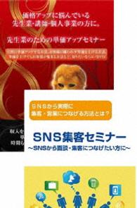 先生業・士業のためのＳＮＳ売上アップ計画ＤＶＤセット