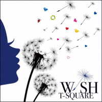 Ｔ－ＳＱＵＡＲＥ／ＷＩＳＨ（Ｂｌｕ－ｒａｙ　Ｄｉｓｃ付）
