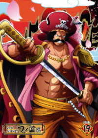 ＯＮＥ　ＰＩＥＣＥ　ワンピース　２０ＴＨシーズン　ワノ国編　ｐｉｅｃｅ．１９