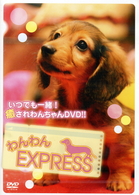 わんわんＥＸＰＲＥＳＳ