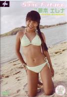 夢本エレナ　Ｓａｍｅ　Ｆｕｔｕｒｅ