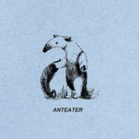 ＫＩＭＡ／Ａｎｔｅａｔｅｒ