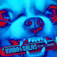 ＩＮＡＢＡ／ＳＡＬＡＳ／ＡＴＯＭＩＣ　ＣＨＩＨＵＡＨＵＡ（初回限定盤／Ｂｌｕ－ｒａｙ　Ｄｉｓｃ付）