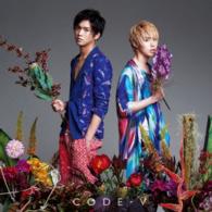 ＣＯＤＥ－Ｖ／衝動