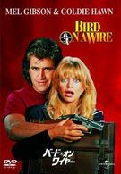 バード・オン・ワイヤー