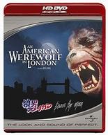 狼男アメリカン ＨＤ　ＤＶＤ