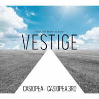 ＣＡＳＩＯＰＥＡ／ＣＡＳＩＯＰＥＡ　３ｒｄ／ＶＥＳＴＩＧＥ　－４０ｔｈ　ＨＩＳＴＯＲＹ　ＡＬＢＵＭ－