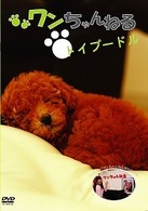 ワンちゃんねる　トイプードル