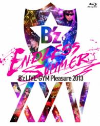Ｂ’ｚ／Ｂ’ｚ　ＬＩＶＥ－ＧＹＭ　Ｐｌｅａｓｕｒｅ　２０１３　ＥＮＤＬＥＳＳ　ＳＵＭＭＥＲ－ＸＸＶ　ＢＥＳＴ－ Ｂｌｕ－ｒａｙ　Ｄｉｓｃ