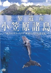 世界遺産　小笠原諸島　“東洋のガラパゴス”　神秘の島々を巡る旅