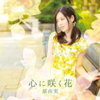 原由実／心に咲く花（ＤＶＤ付盤）