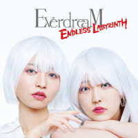 ＥｖｅｒｄｒｅａＭ／ＥＮＤＬＥＳＳ　ＬＡＢＹＲＩＮＴＨ（ＤＶＤ付）