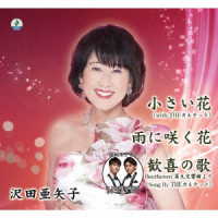 沢田亜矢子／小さい花