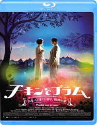 チキンとプラム　～あるバイオリン弾き、最後の夢～ Ｂｌｕ－ｒａｙ　Ｄｉｓｃ