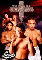 Ｋ－１　ＷＯＲＬＤ　ＭＡＸ　２００４～世界王者対抗戦～