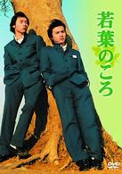 若葉のころ　ＤＶＤ－ＢＯＸ
