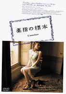 薬指の標本　ＳＰＥＣＩＡＬ　ＥＤＩＴＩＯＮ