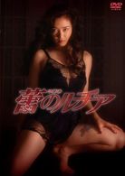 ＮＩＫＫＡＴＳＵ　ＣＯＬＬＥＣＴＩＯＮ　つぼみのルチア