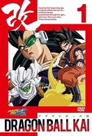 ドラゴンボール改　１