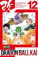 ドラゴンボール改　１２