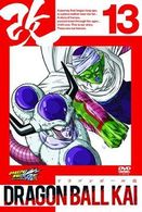 ドラゴンボール改　１３