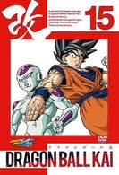 ドラゴンボール改　１５