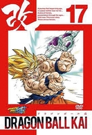 ドラゴンボール改　１７