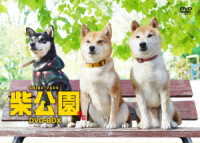 柴公園　ＴＶシリーズ　ＤＶＤ－ＢＯＸ