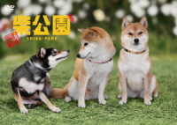 劇場版　柴公園