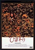 ひまわり