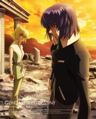 機動戦士ガンダムＳＥＥＤ　ＤＥＳＴＩＮＹ　ＨＤリマスター　Ｂｌｕ－ｒａｙ　ＢＯＸ　２　初回限定版 Ｂｌｕ－ｒａｙ　Ｄｉｓｃ