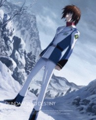 機動戦士ガンダムＳＥＥＤ　ＤＥＳＴＩＮＹ　ＨＤリマスター　Ｂｌｕ－ｒａｙ　ＢＯＸ　３　初回限定版 Ｂｌｕ－ｒａｙ　Ｄｉｓｃ