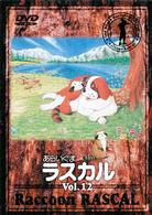 あらいぐまラスカル（１２）