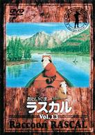あらいぐまラスカル（１３）