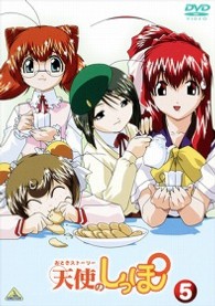 おとぎストーリー天使のしっぽ　スペシャルリミテッドエディションＤＶＤ　５