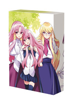 ゼロの使い魔～双月の騎士～　Ｖｏｌ．１