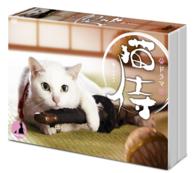 ドラマ「猫侍」ＤＶＤ－ＢＯＸ