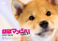 ドラマ「幼獣マメシバ　望郷篇」ＤＶＤ－ＢＯＸ