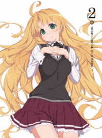 ハイスクールＤ×Ｄ　ＨＥＲＯ　Ｖｏｌ．２【Ｂｌｕ－ｒａｙ】 Ｂｌｕ－ｒａｙ　Ｄｉｓｃ