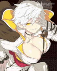 閃乱カグラ　ＳＨＩＮＯＶＩ　ＭＡＳＴＥＲ　－東京妖魔篇－Ｖｏｌ．３【ＤＶＤ】