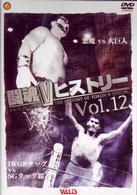 闘魂ＶヒストリーＤＶＤ　第１２巻