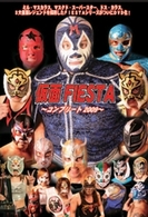 仮面ＦＩＥＳＴＡ～コンプリート２００９～