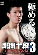 青木真也　跳関十段３
