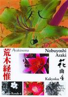アラキネマ　花曲４